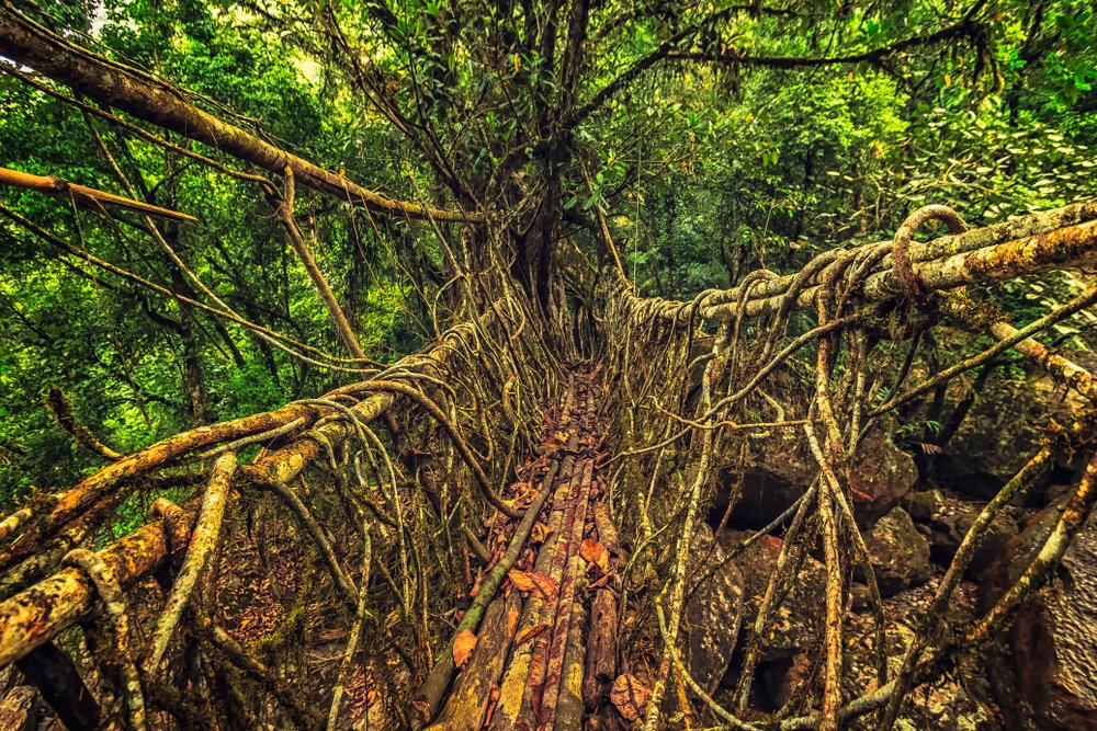 Best Tourist Places to Visit in Northeast: 8 Sisters of India