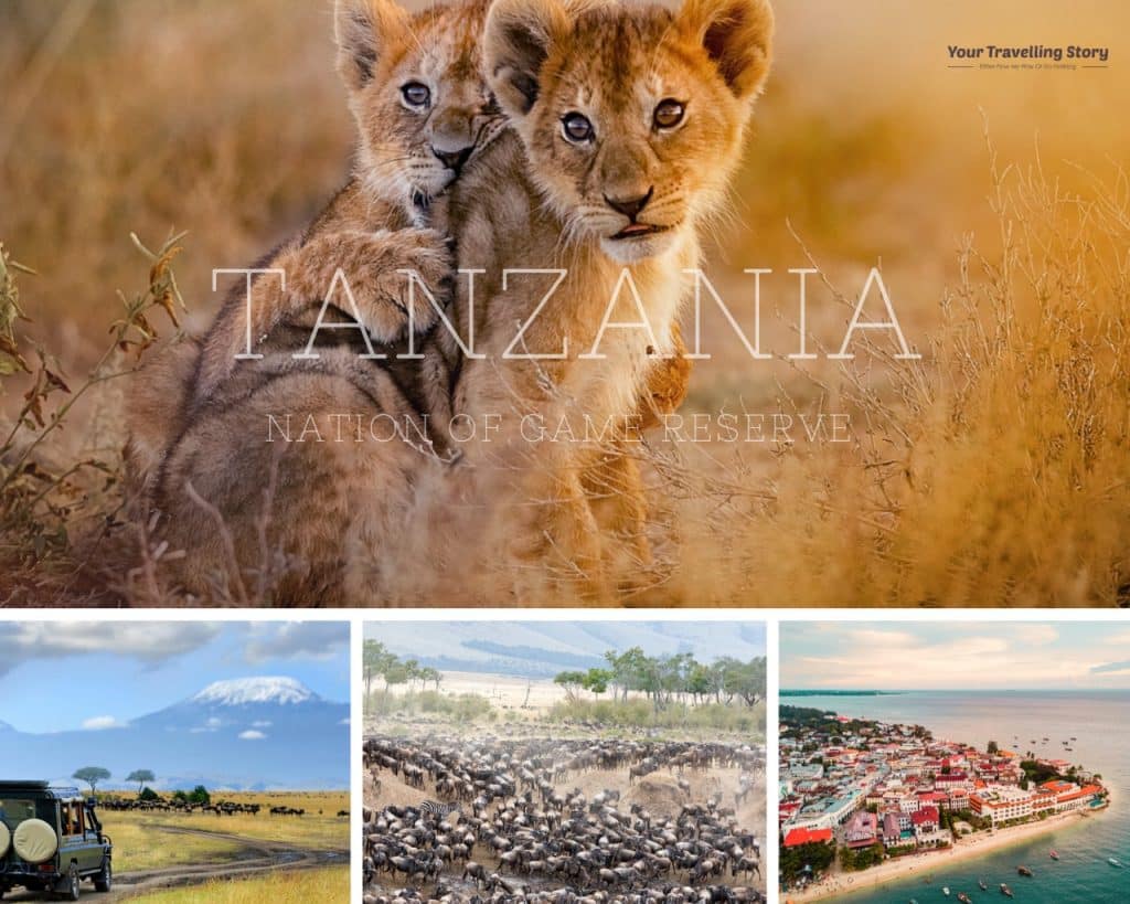 Tanzania (Best places to visit in Africa and the best for Safari Adventure):