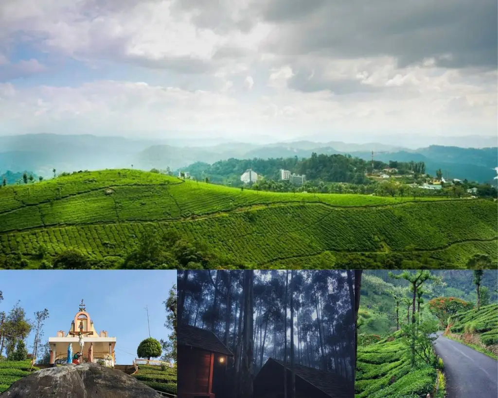 Munnar (Kerala): one of the best hill stations in India