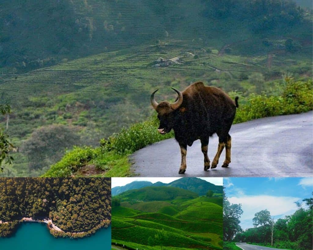 Ooty- one of the best hill stations in India