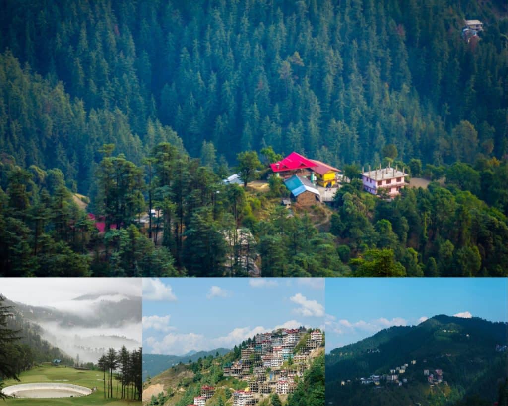 Naldehra- Shimla