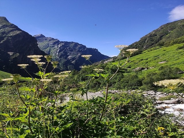 Hathi Parvat- Uttarakhand-Best visiting places in Badrinath